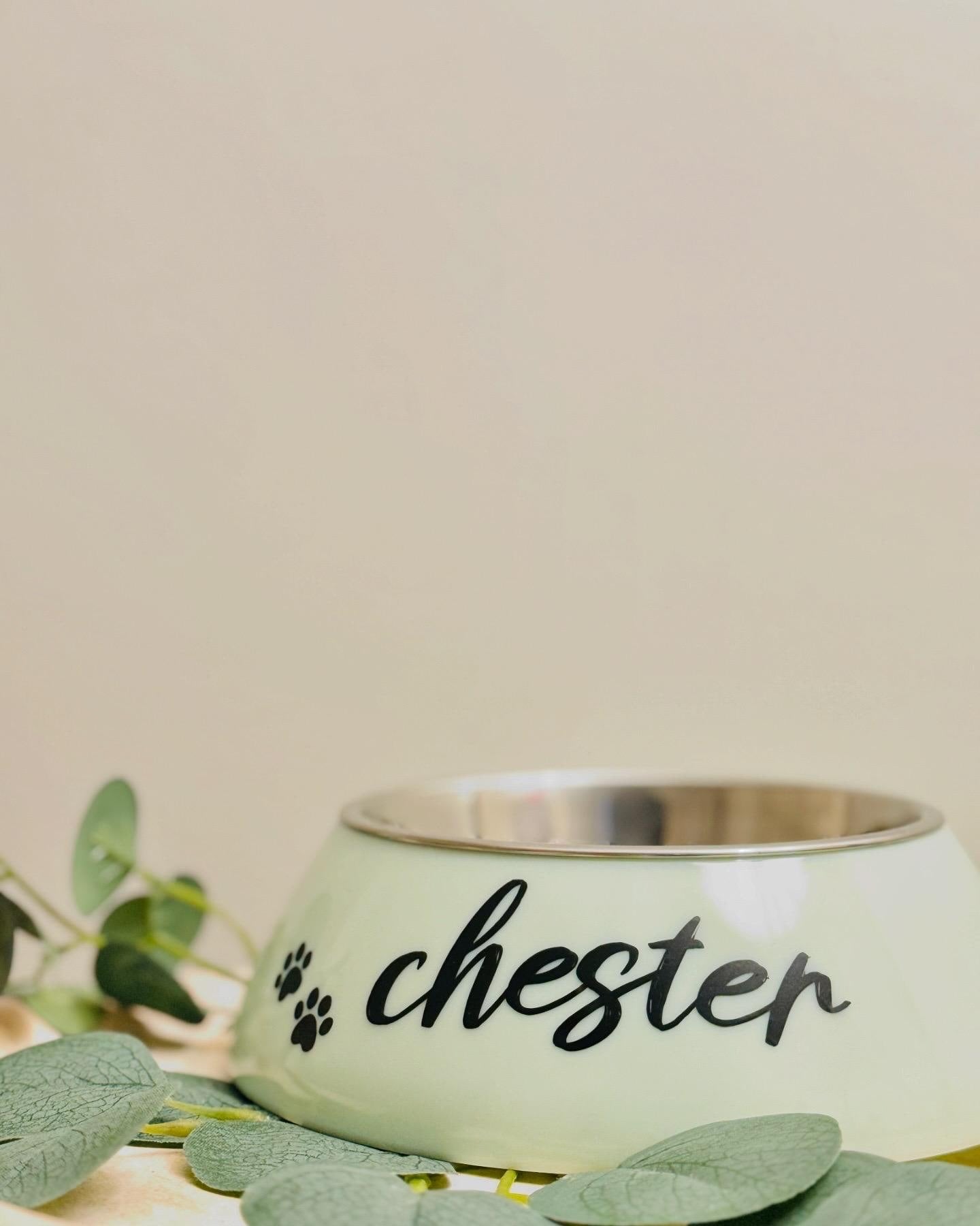 Custom Pet Labels